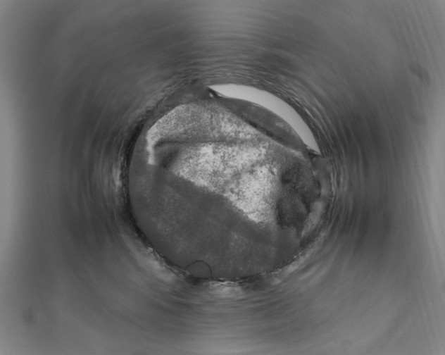 X0000112010424200908241459