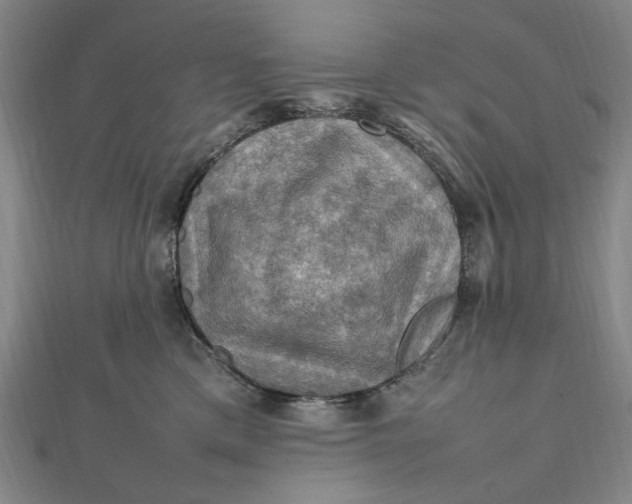 X0000112010425200908241459