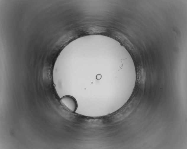 X0000112010426200908241459