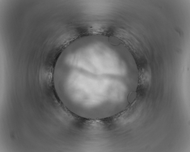 X0000112010427200908241459