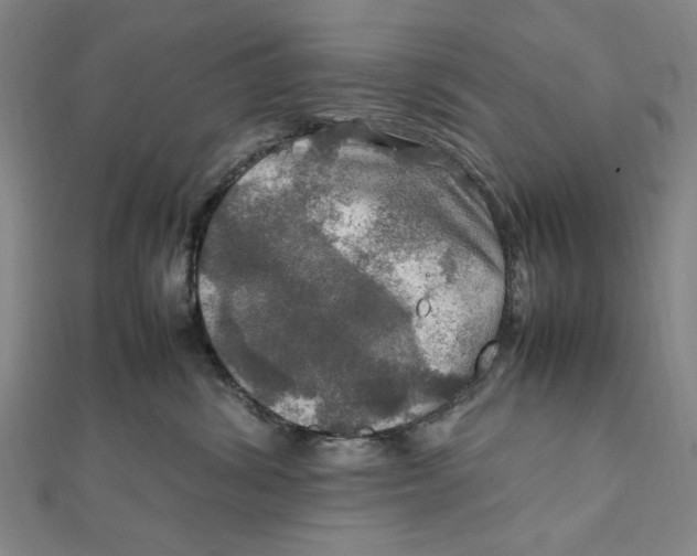 X0000112010428200908241459