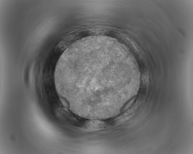 X0000112010429200908241459