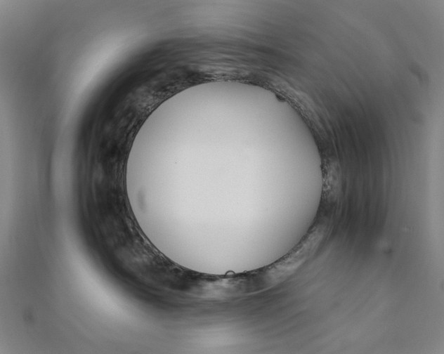 X0000112010430200908241459