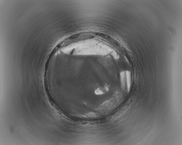 X0000112010434200908241458