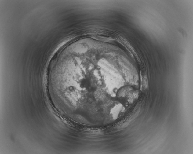 X0000112010435200908241458