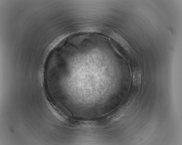 X0000112010436200908241458