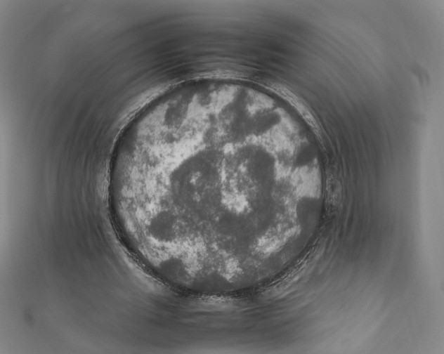 X0000112010437200908241458