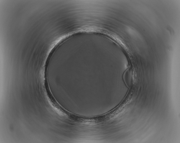 X0000112010438200908241458