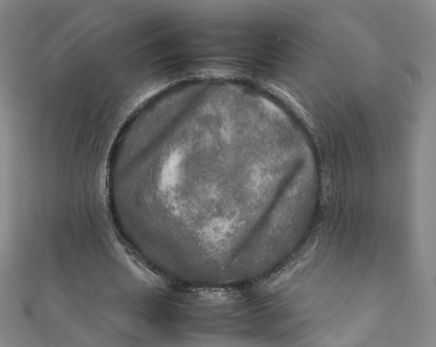 X0000112010439200908241458