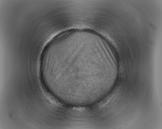 X0000112010440200908241458