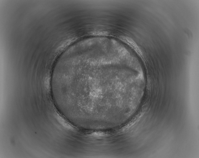 X0000112010441200908241458