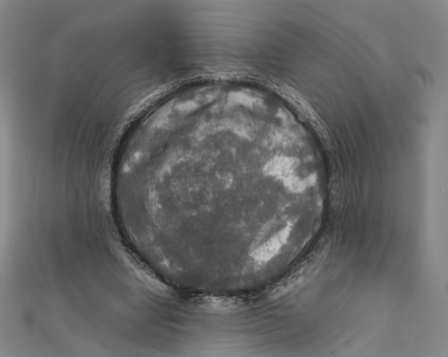 X0000112010442200908241458