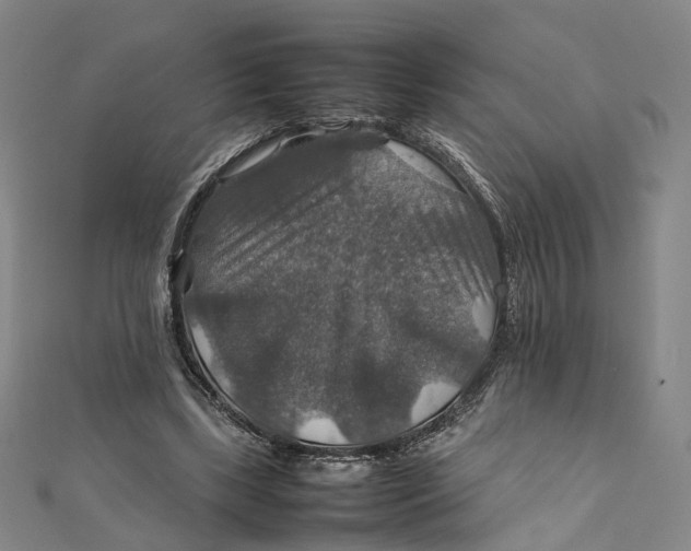 X0000112010443200908241458