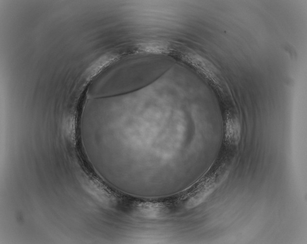 X0000112010444200908241458