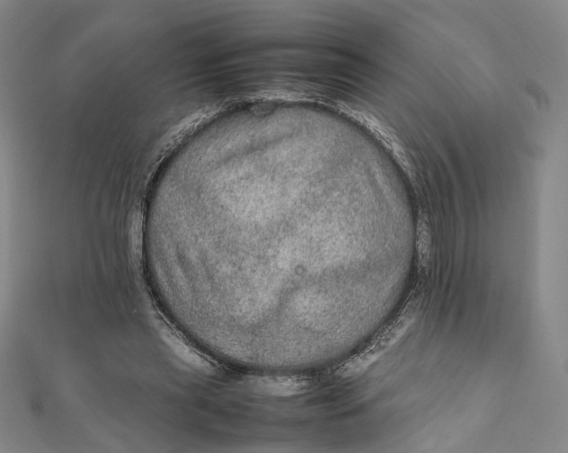 X0000112010445200908241458