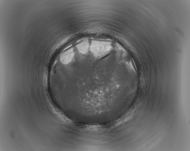 X0000112010446200908241458