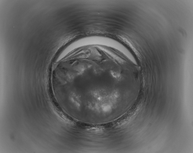 X0000112010447200908241458