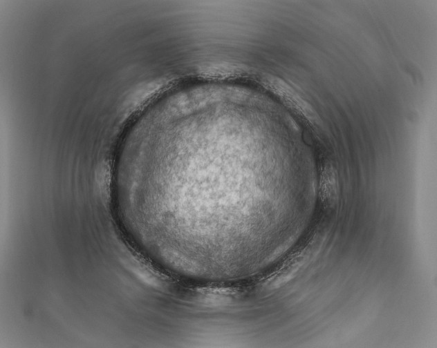 X0000112010448200908241458