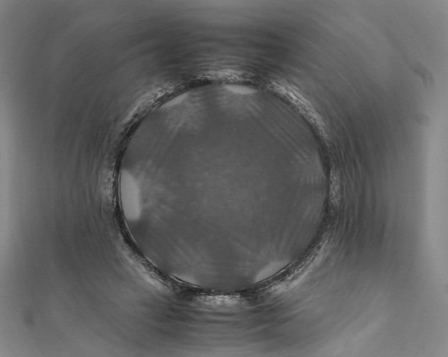 X0000112010449200908241458