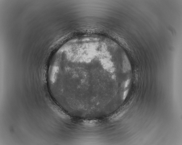 X0000112010450200908241458