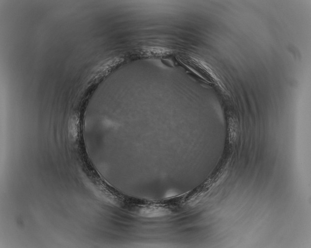 X0000112010451200908241458