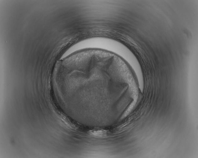 X0000112010452200908241458