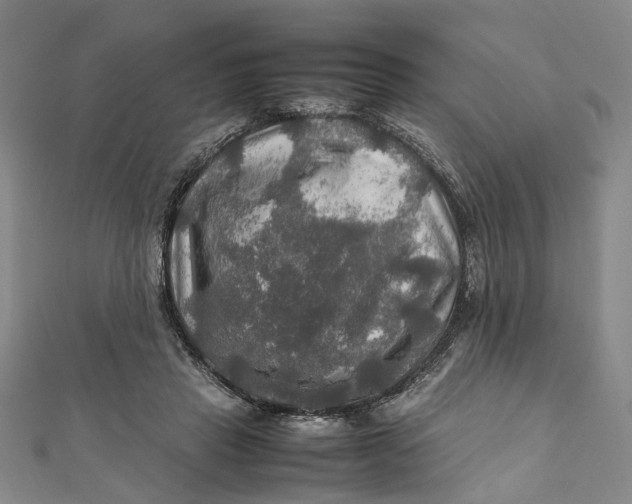 X0000112010453200908241458