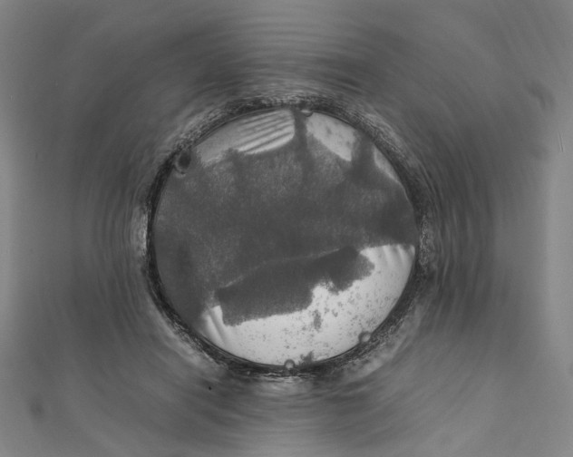 X0000112010454200908241458