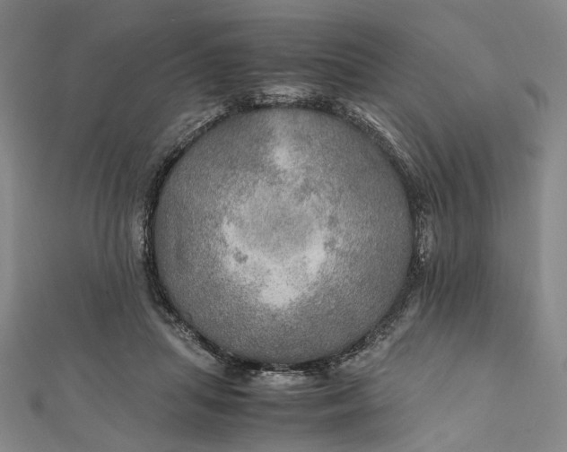 X0000112010455200908241458