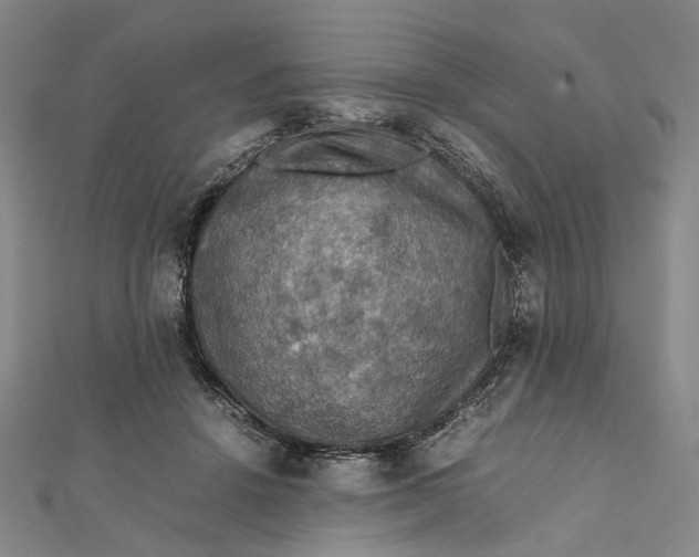 X0000112010456200908241458