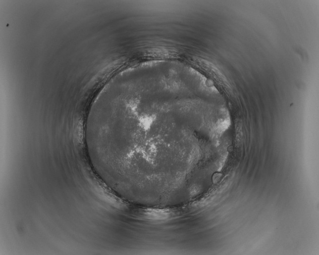 X0000112010457200908241458