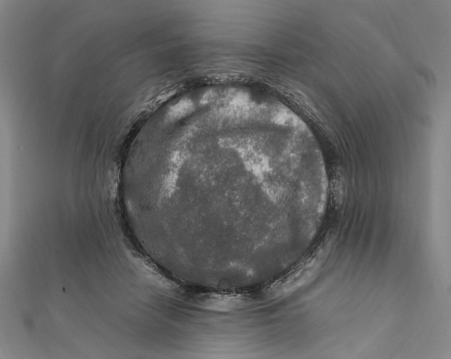 X0000112010458200908241458