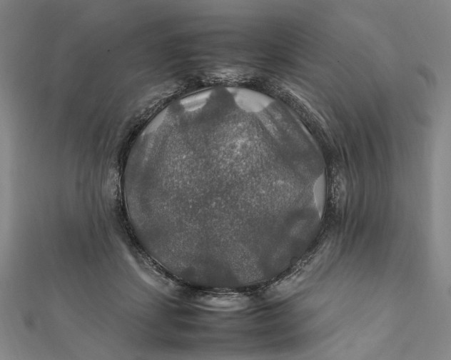 X0000112010459200908241458