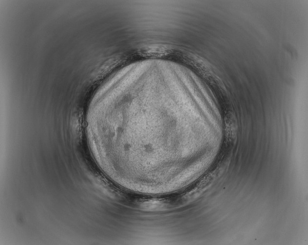 X0000112010460200908241458