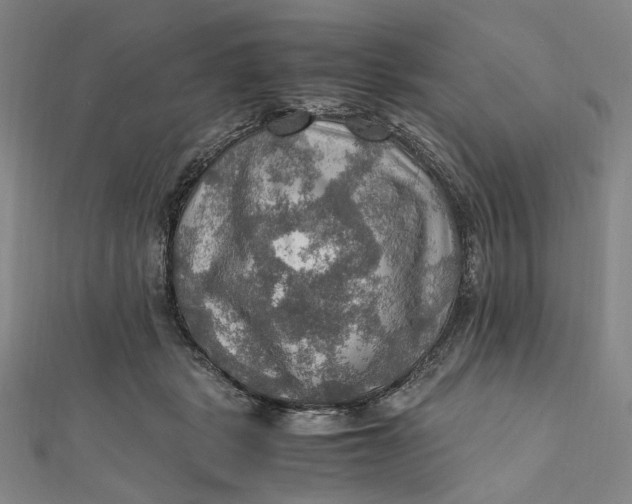 X0000112010461200908241458