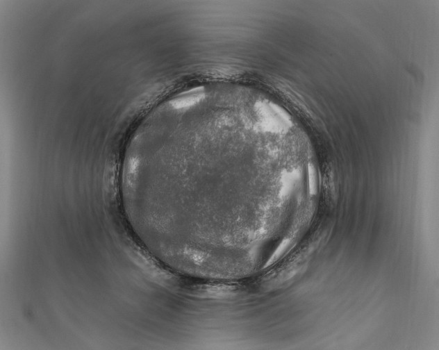 X0000112010462200908241458