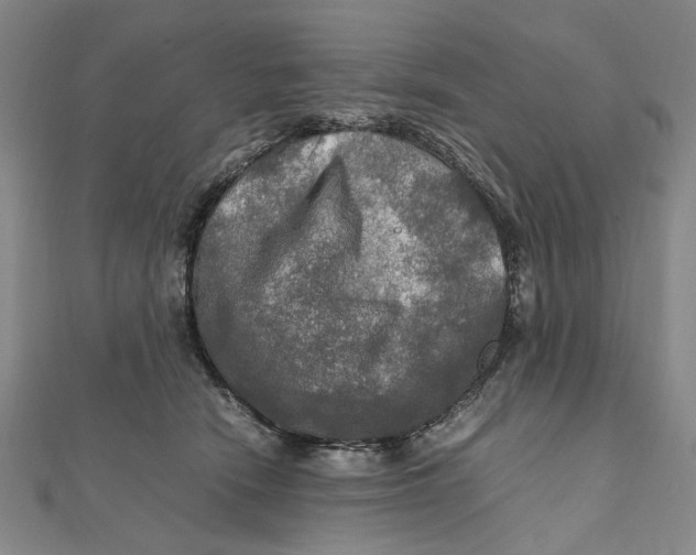 X0000112010466200908241458