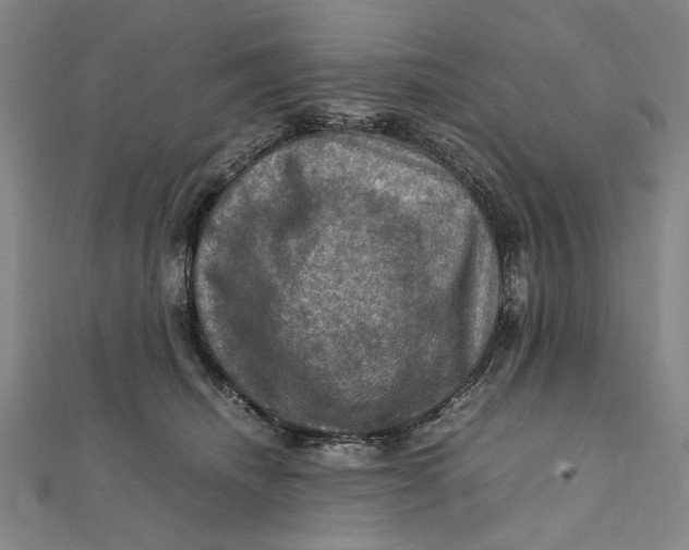 X0000112010468200908241458