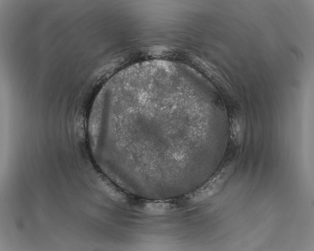 X0000112010470200908241458