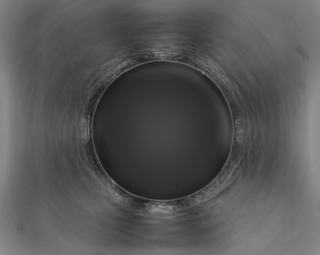 X0000112010471200908241458