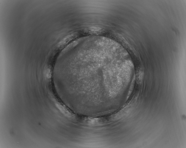 X0000112010472200908241458