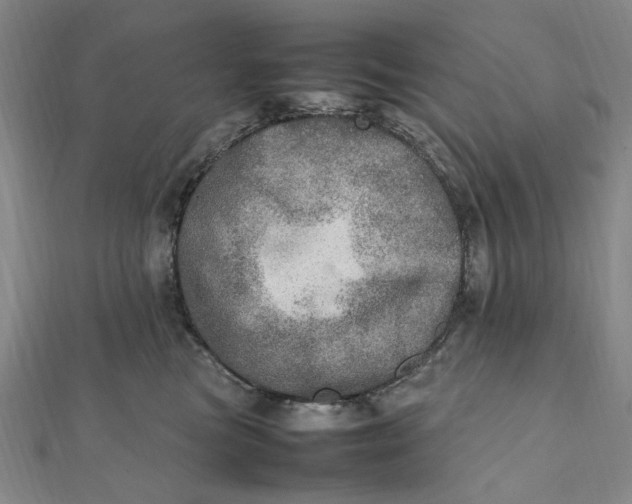 X0000112010473200908241458