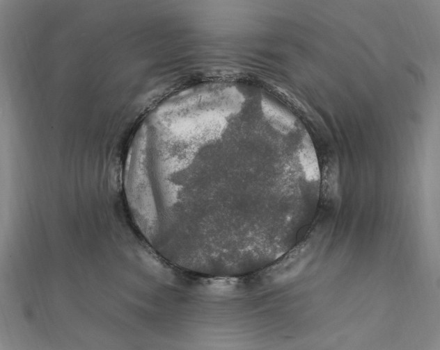 X0000112010474200908241458