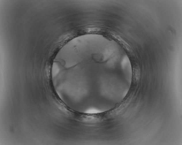 X0000112010475200908241458