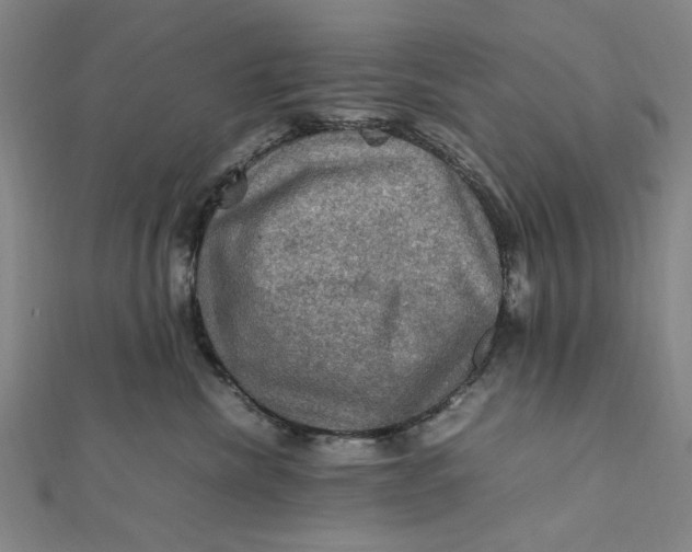 X0000112010476200908241458