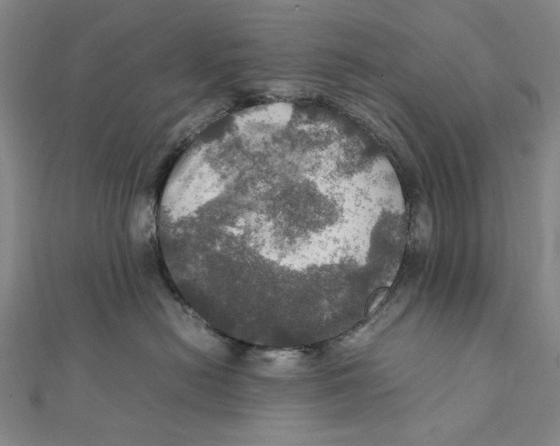 X0000112010478200908241458