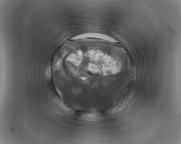 X0000112010479200908241459