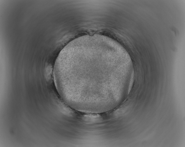 X0000112010480200908241459