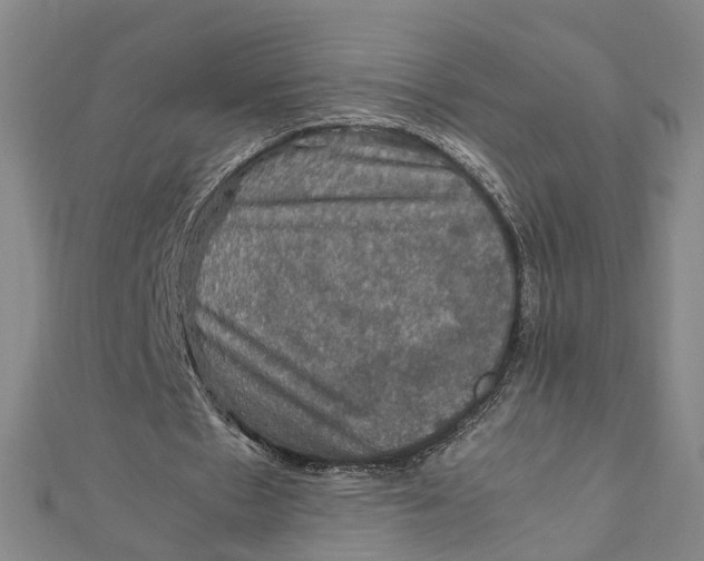 X0000112010481200908241458