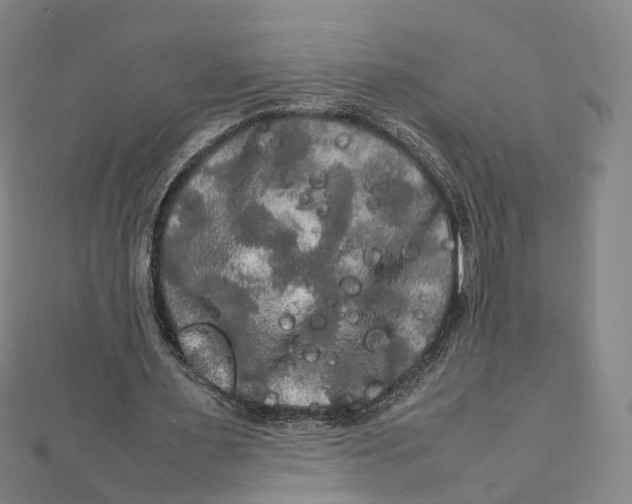 X0000112010483200908241458